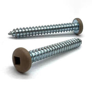 #10x1/2" Pan Head Square Drive Type AB Sheet Metal Screw Tan Painted Head Zinc