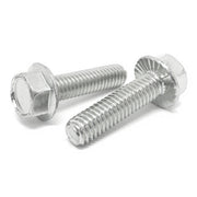 1/4-20x3/4" 18-8 Stainless Steel Serrated Hex Flange Bolts