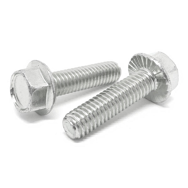 1/2-13x2" 18-8 Stainless Steel Serrated Hex Flange Bolts